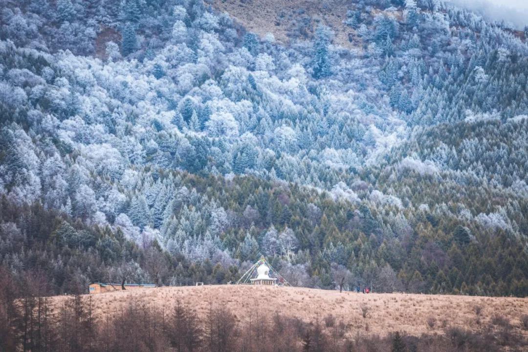天上人间云海仙境,达瓦更扎云海旅游视频