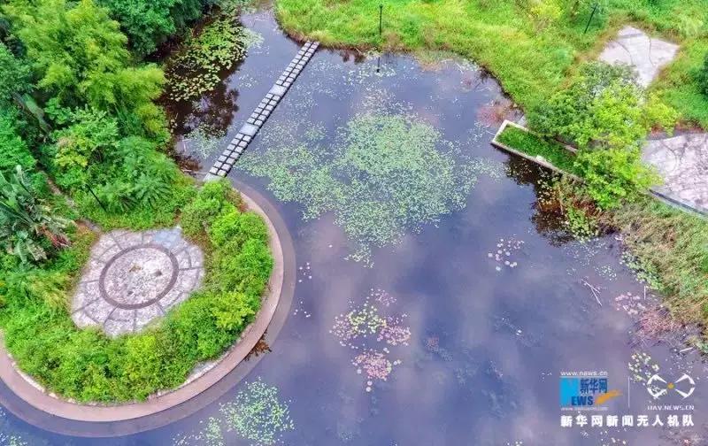 宝藏新公园周末好去处快来打卡,必打卡的宝藏公园