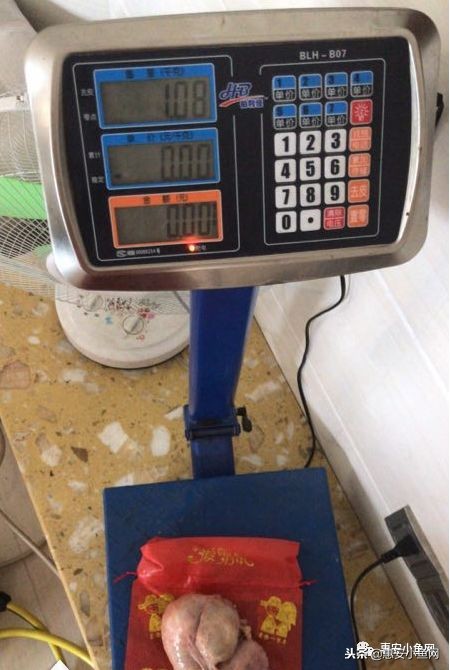 台商区|宰杀8斤老母鸡,肚内1斤“鸡宝”!能卖多少?