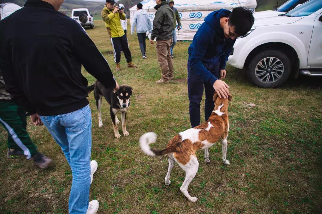 途达探索之旅,途达探索之旅完整版