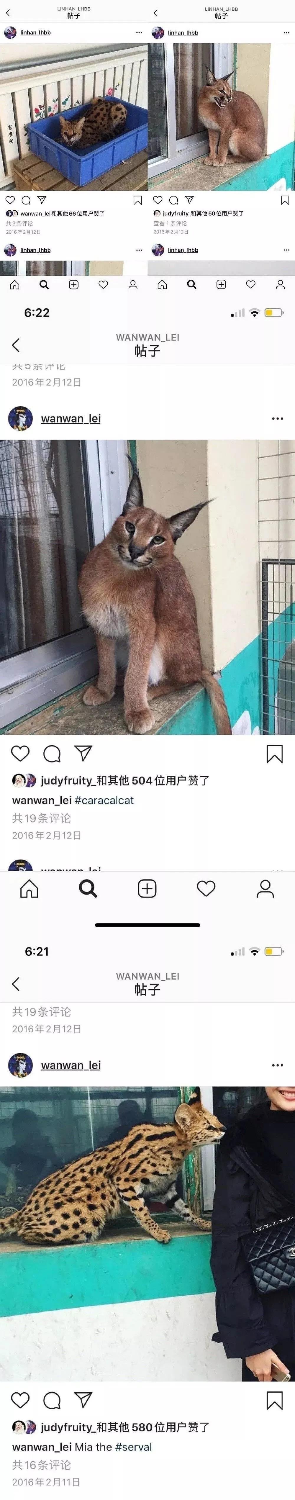 范冰冰算犯罪吗,范冰冰算不算劣迹艺人