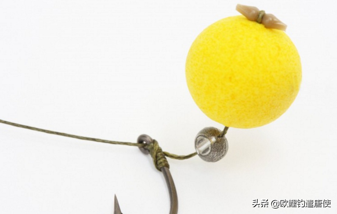 话说欧鲤钓组全集,欧鲤钓组可以钓哪些鱼