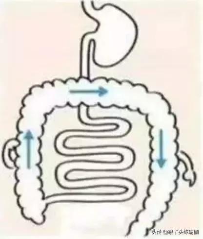 小型电动按摩器按摩腹部的好处,做腹部按摩推拿的好处和功效