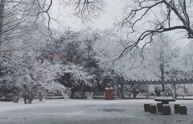 安徽合肥大学二本院校,安徽二本高校