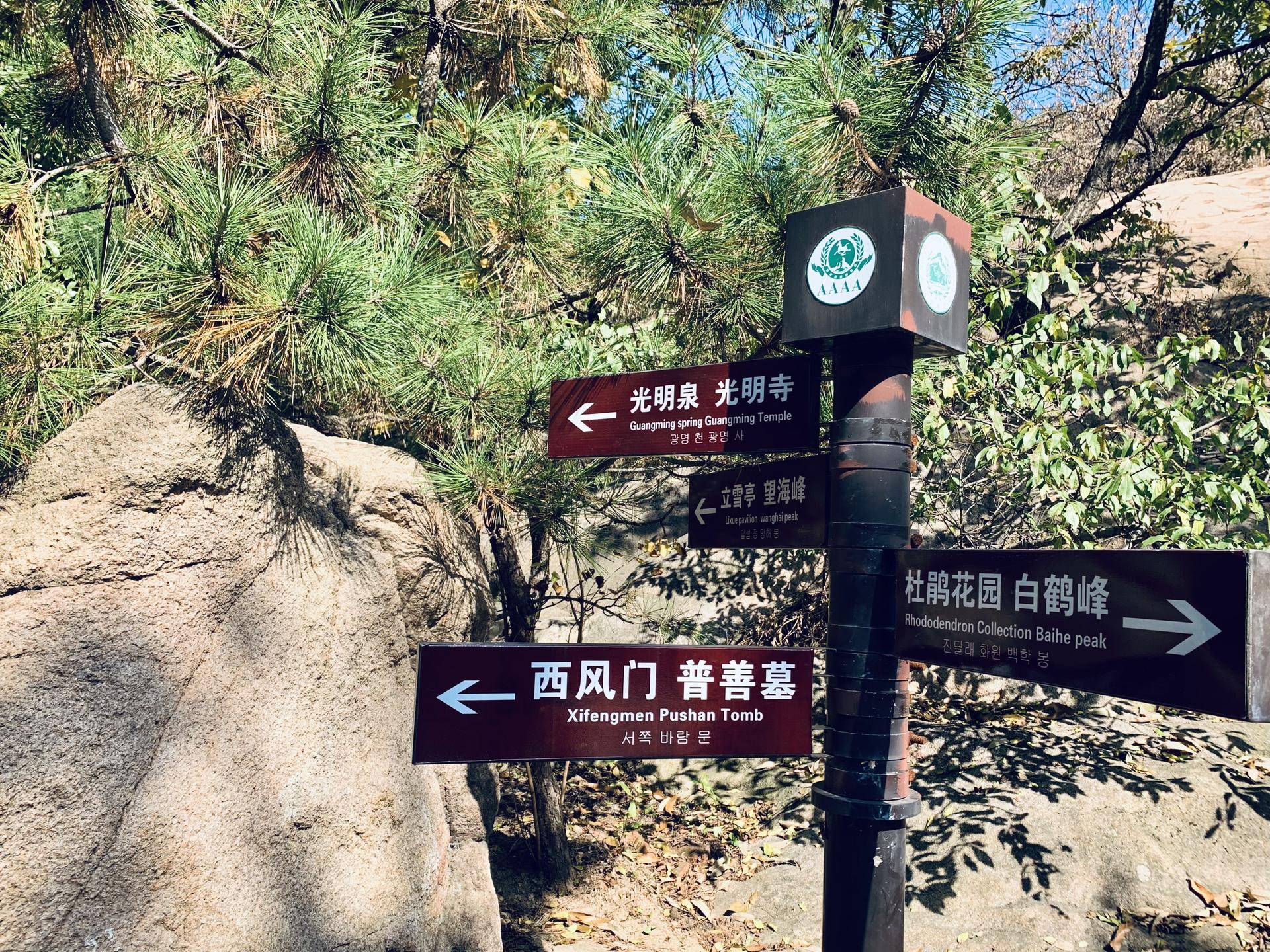 有山有水民宿原生态旅游,有山有水有云民宿名字