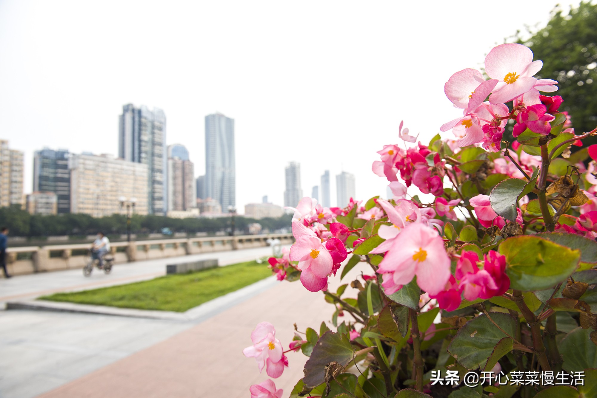 广州最高的三座建筑,广州珠江边上高楼