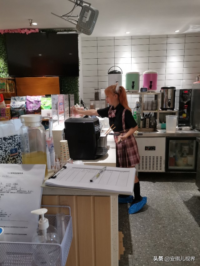 家有爱宠休闲式宠物店撸猫馆,宠物猫舍撸猫馆