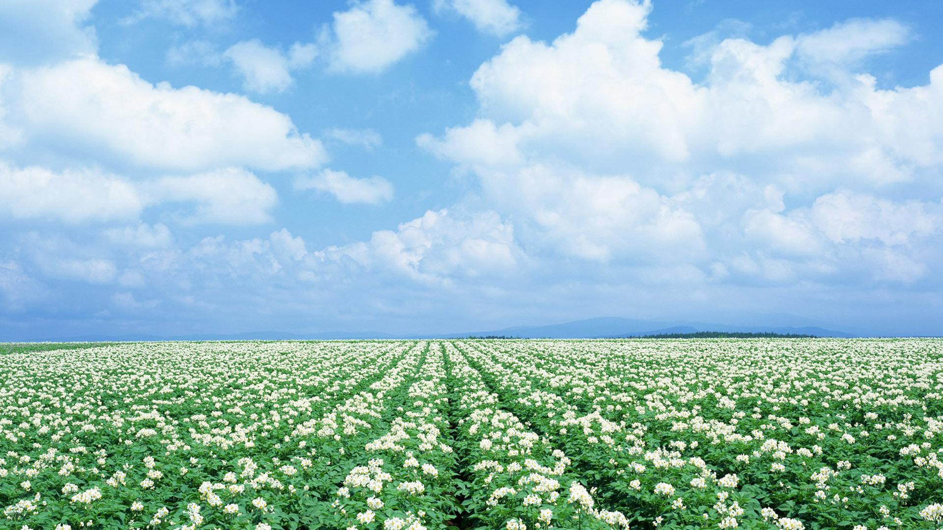 心理学上有的人为什么那么暴躁,心理学发脾气的人才最值得深交