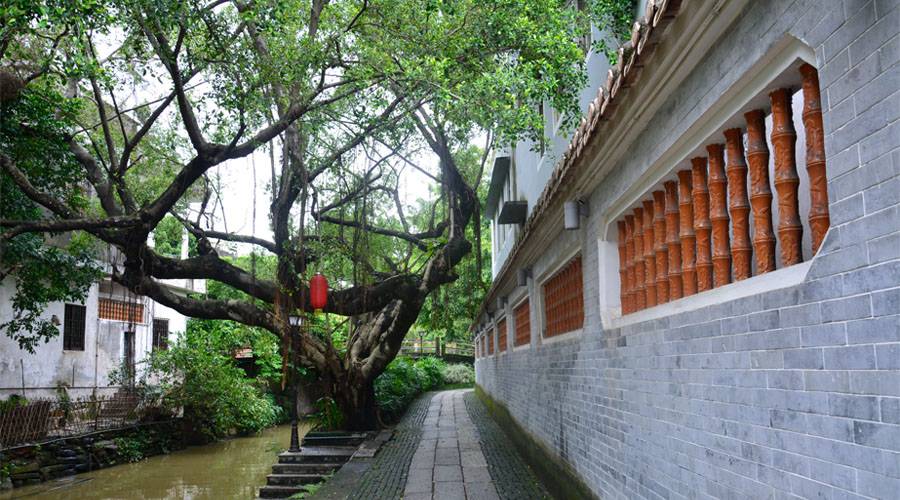 佛山广东周庄,佛山周庄古镇