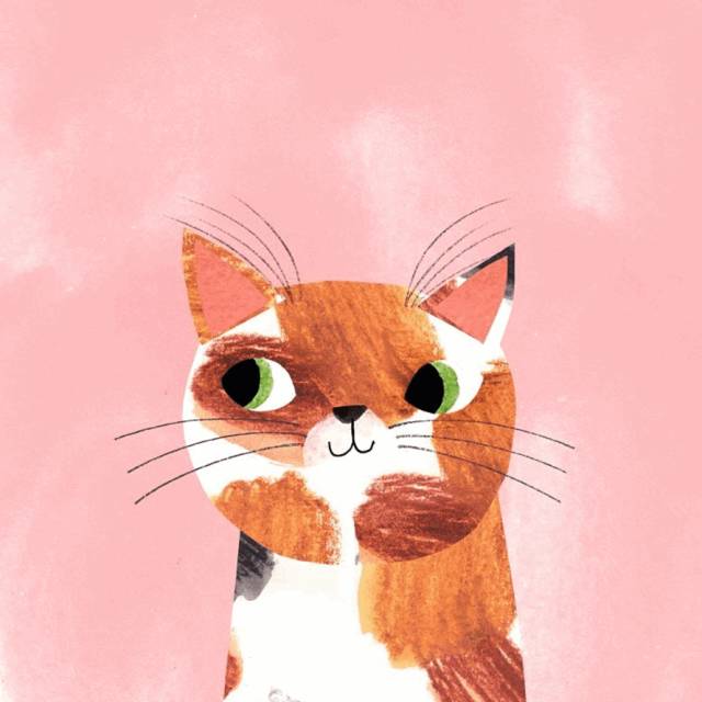 姑娘1天画1只猫坚持了100天 (坚持画猫100天的姑娘太有才了)