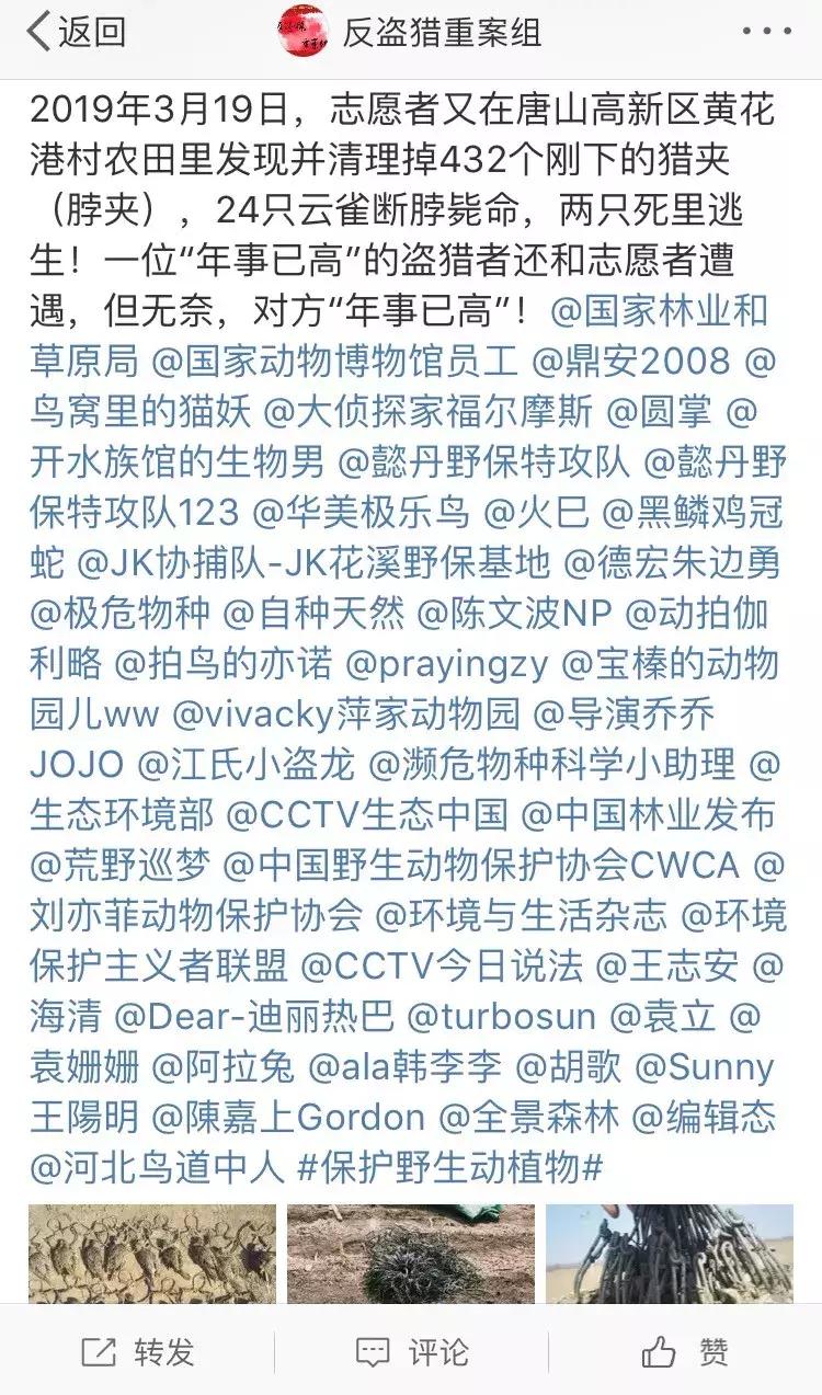 从禾花雀到云雀，又一种鸟快被中国人吃绝种了！