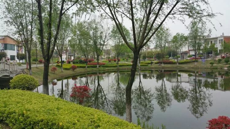 商城:我的四季情人