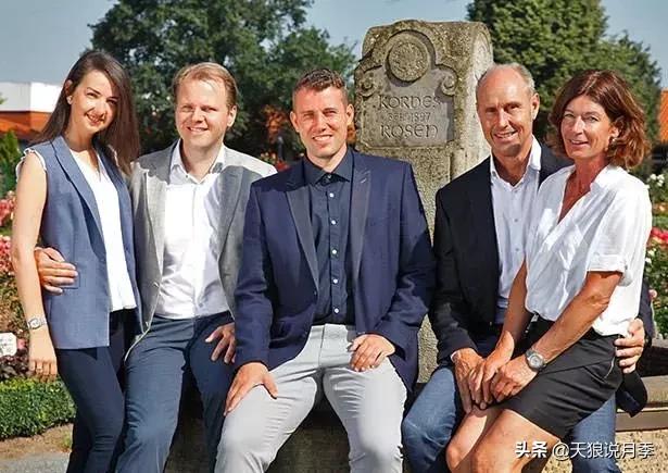 哪些月季品种抗病强,抗病性好月季有哪些