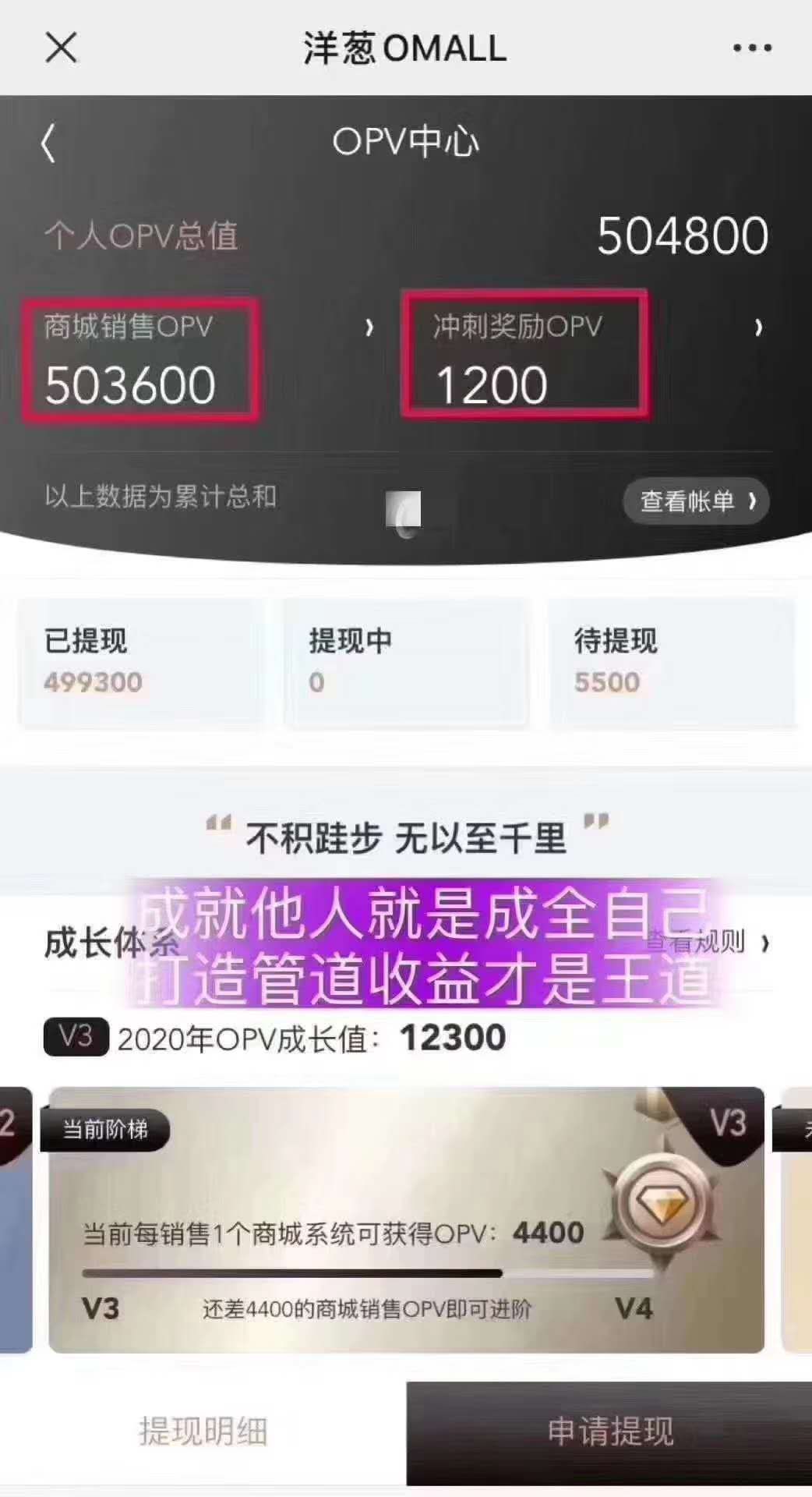 洋葱项目怎么赚钱,洋葱加盟怎么赚钱