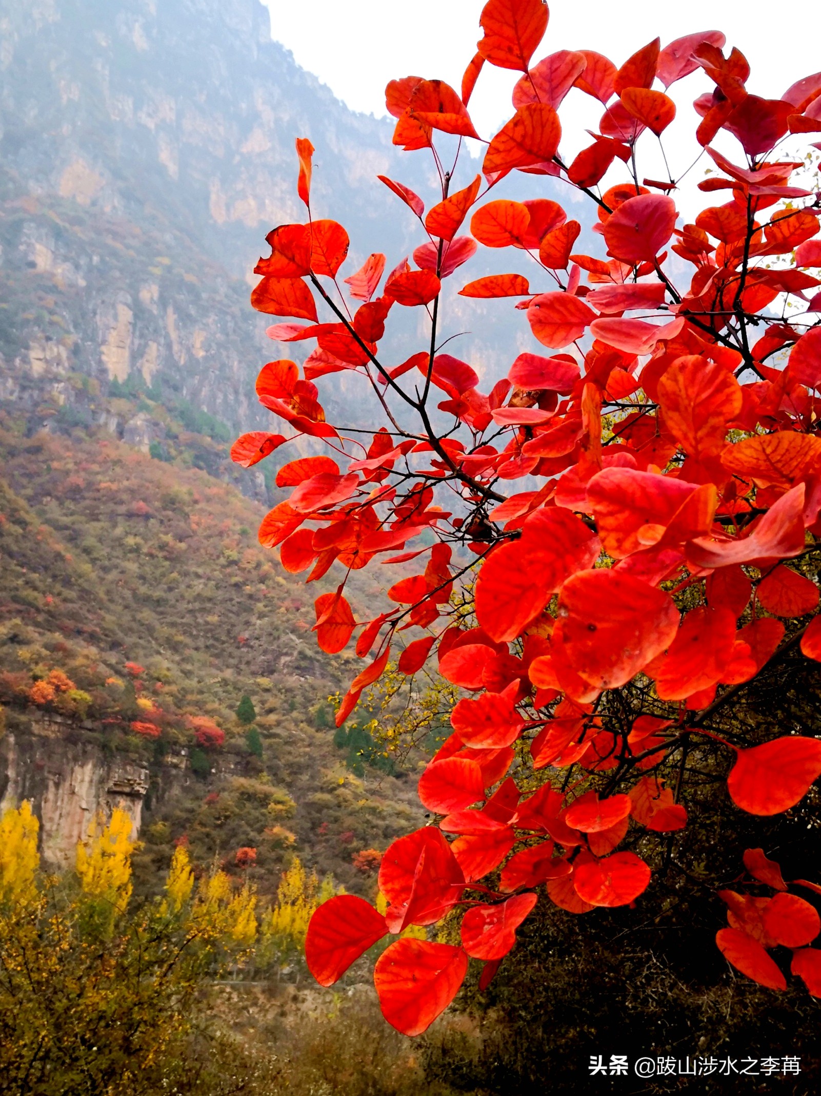 深藏在太行山中的古村落竹林沟,深山沟里的绝世古村