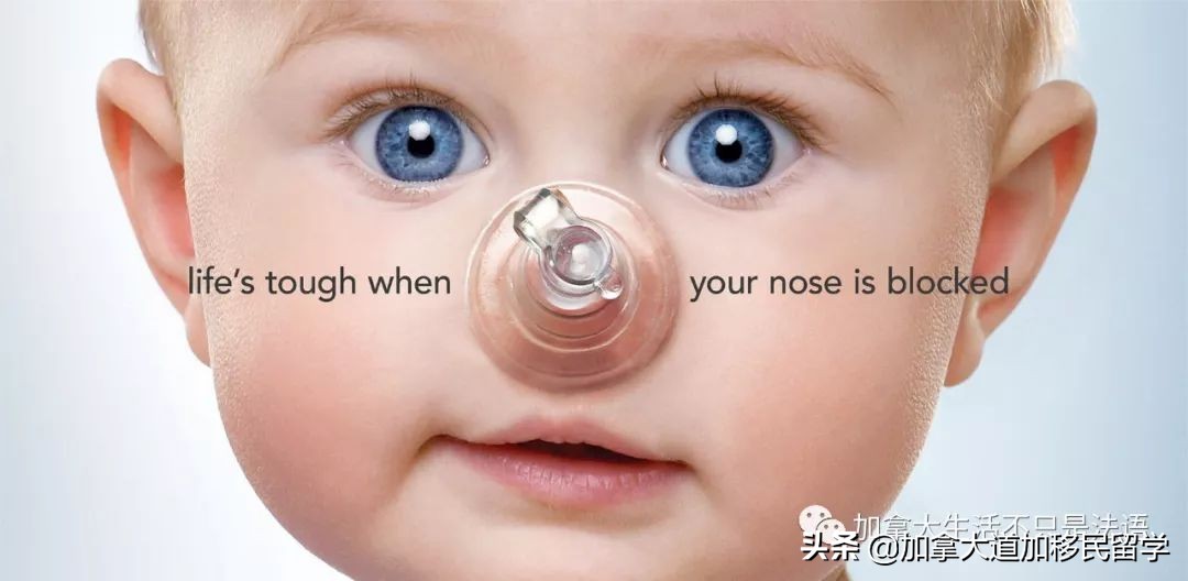 加拿大婴儿用品,加拿大必买婴幼儿用品