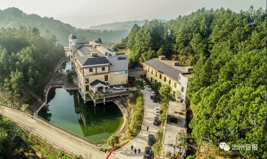 白石山林区生态环境,白石镇竹海