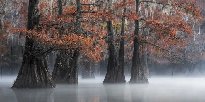 100幅精美摄影作品,全球最壮美的自然光影摄影作品