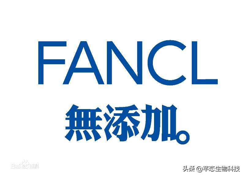 日本妹子必买护肤品,日本女生必买粉底