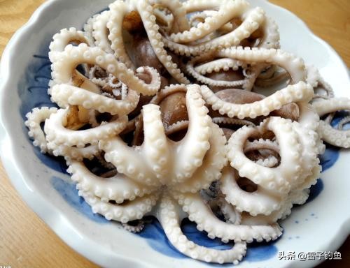 海钓活饵钓鱼的正确方法,海钓钓鱼饵料搭配最佳配方