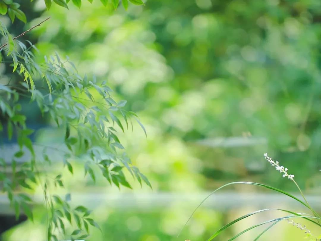 这160句国学经典全都是精华,这20句俗话说尽了人生