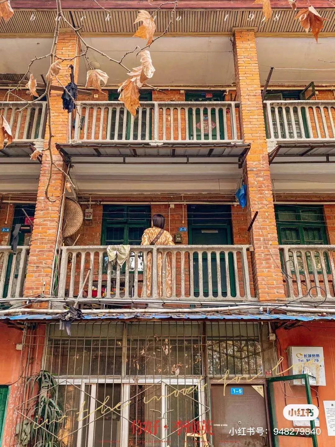 李子柒家乡成旅游景点,李子柒乡愁