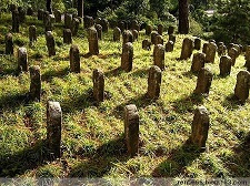 影响军人一生的100个关键词之九：战争