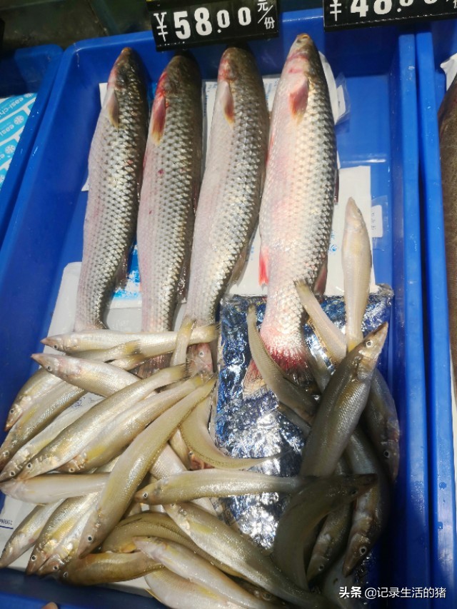 周末北京出发吃海鲜,北京自助游最好去哪儿吃海鲜