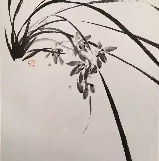 如何画兰花最好看的,君子兰花如何画