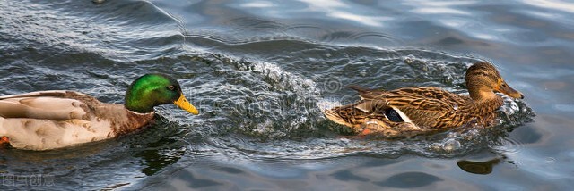 男人有心里话从不跟妻子说的原因,面对没句实话的人怎么办