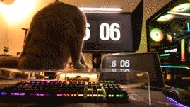 5W打造理想桌面——30件桌面好物分享