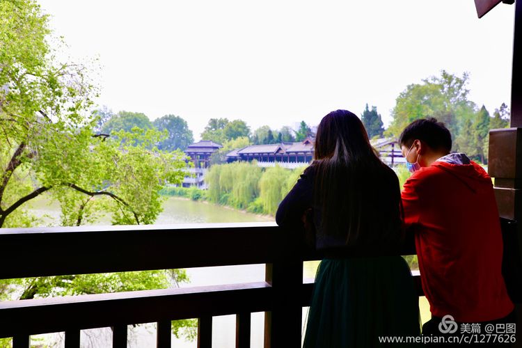 看洛阳牡丹花卉节,洛阳古都牡丹花展