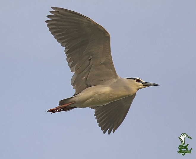 浣犵湡鐨勮璇嗘捣楦ュ悧,浣犵湡鐨勮璇嗚崰鑿滃悧