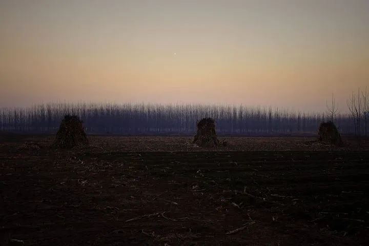 若愚：自戕与乱国——太监王振其人其事