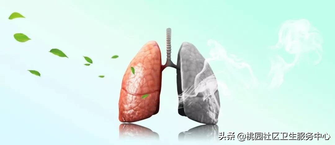 肺结核诊疗指南,最新版肺结核诊疗指南