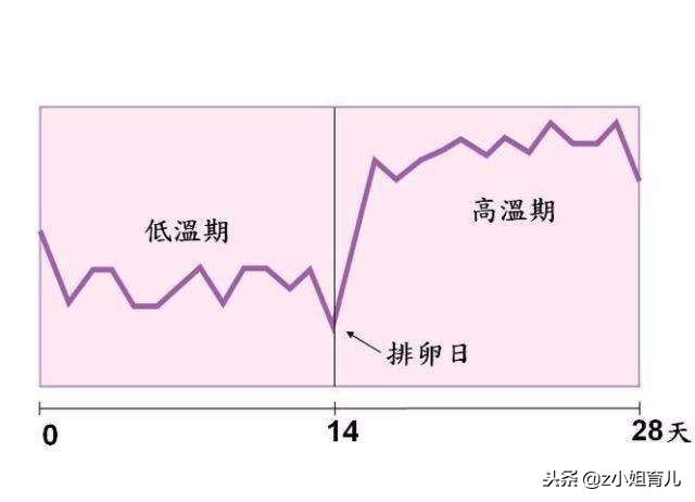 备孕没成功要去做什么检查,备孕没成功应该做什么检查