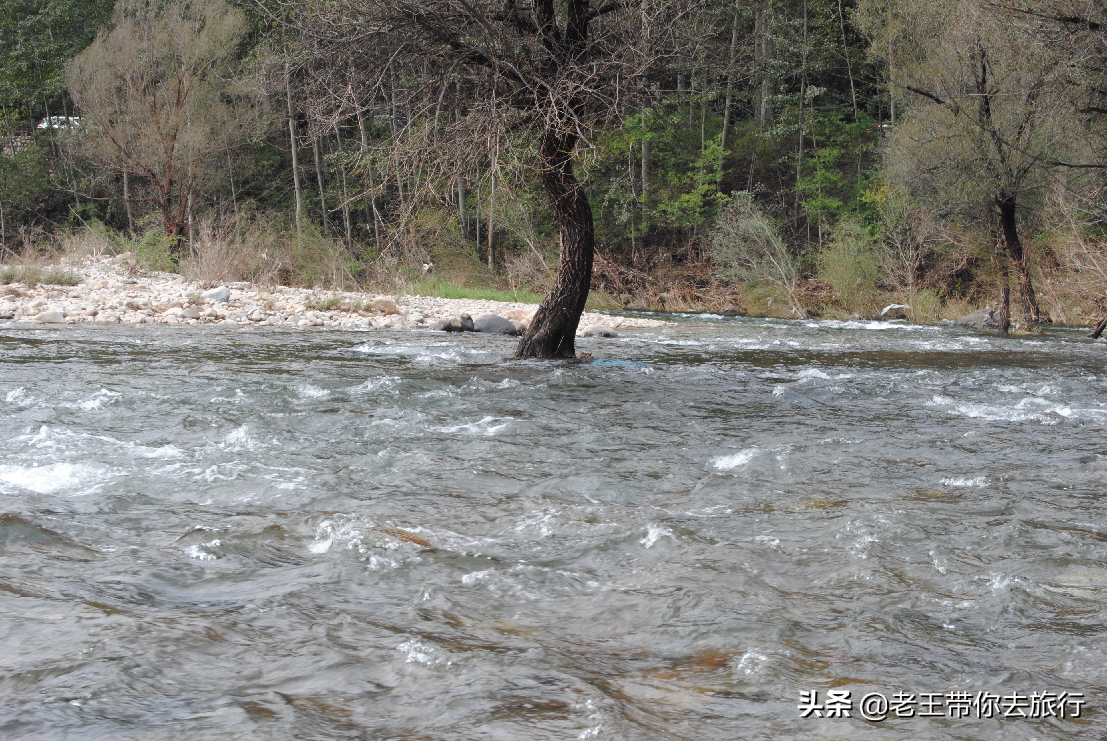 蓟州免费网红打卡地,蓟州网红打卡地西井峪
