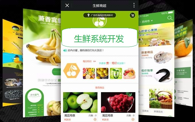 蔬菜配送管理系统生鲜电商erp软件,生鲜配送系统软件方案