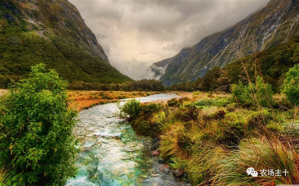 你是否曾经也向往过农村生活,向往田园生活和体验往往有差距