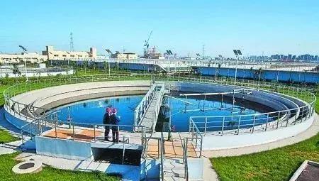 气温升高对生活污水处理的影响,温度对污水菌种影响