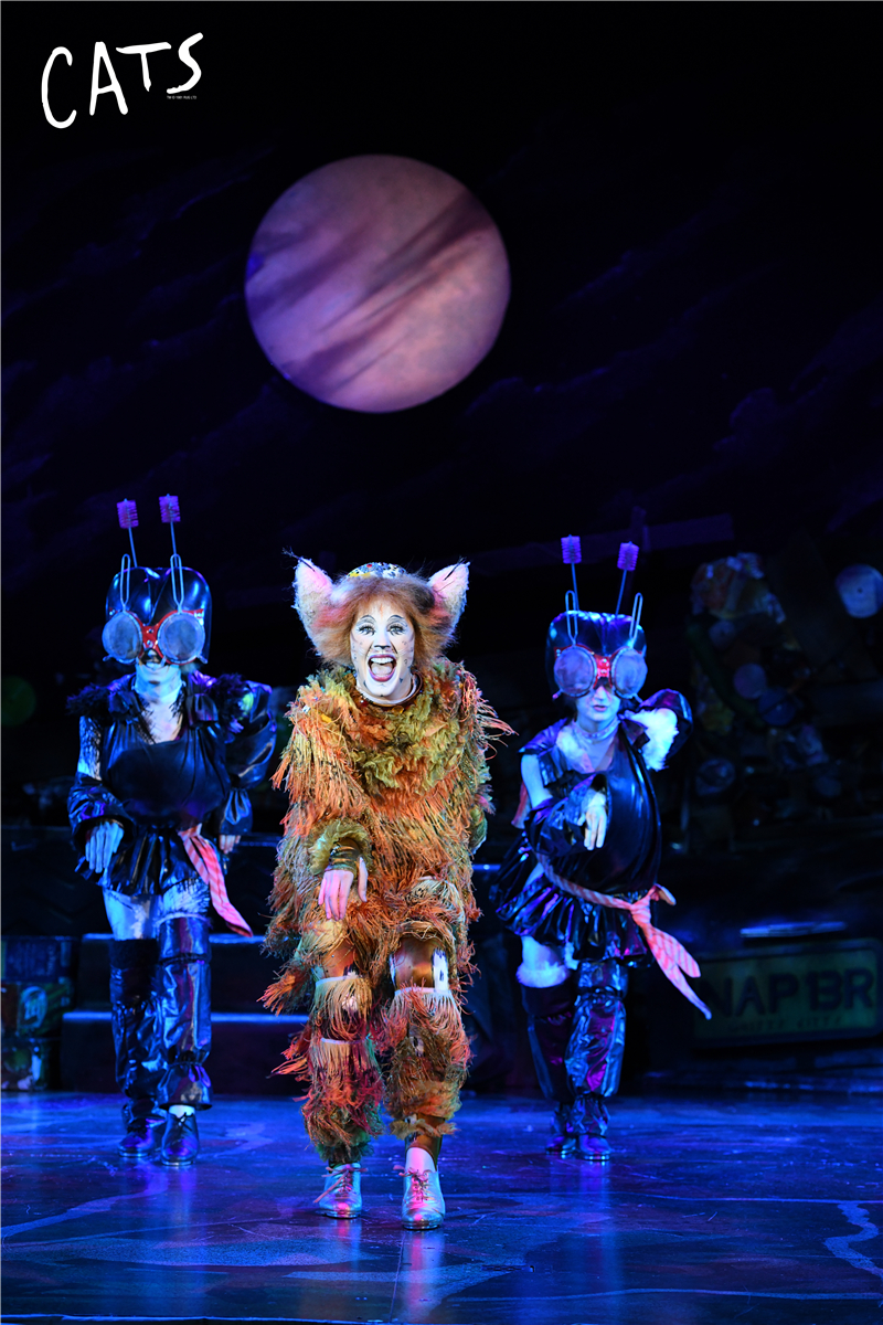 天津大剧院音乐剧演出,天津音乐剧2020