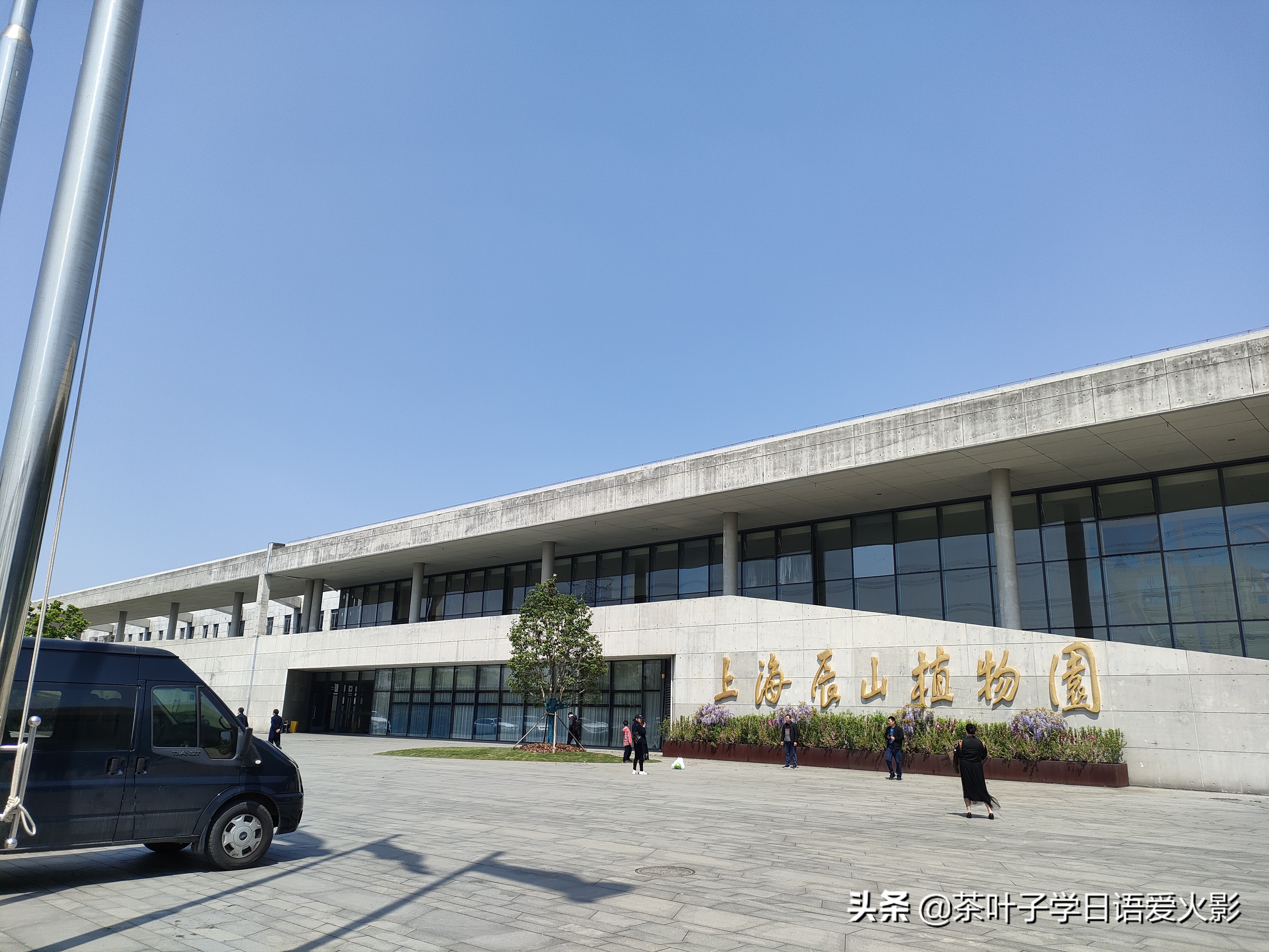 春天踏青适合去哪里玩,春天去上海辰山植物园攻略