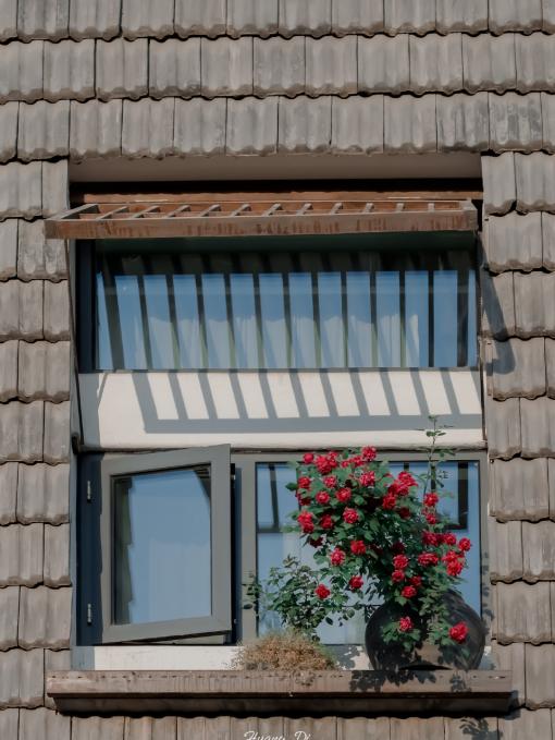 “京”日小确幸,俺们都浪出花儿来了