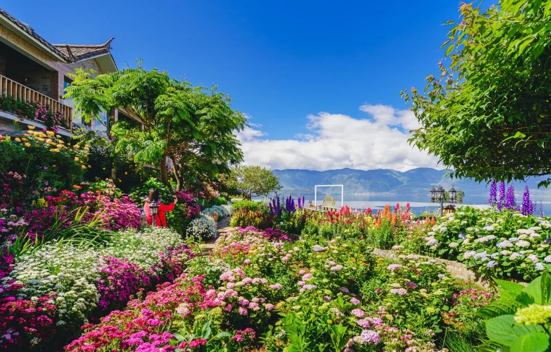 昆明最值得入手的酒店,云南十大顶级度假酒店