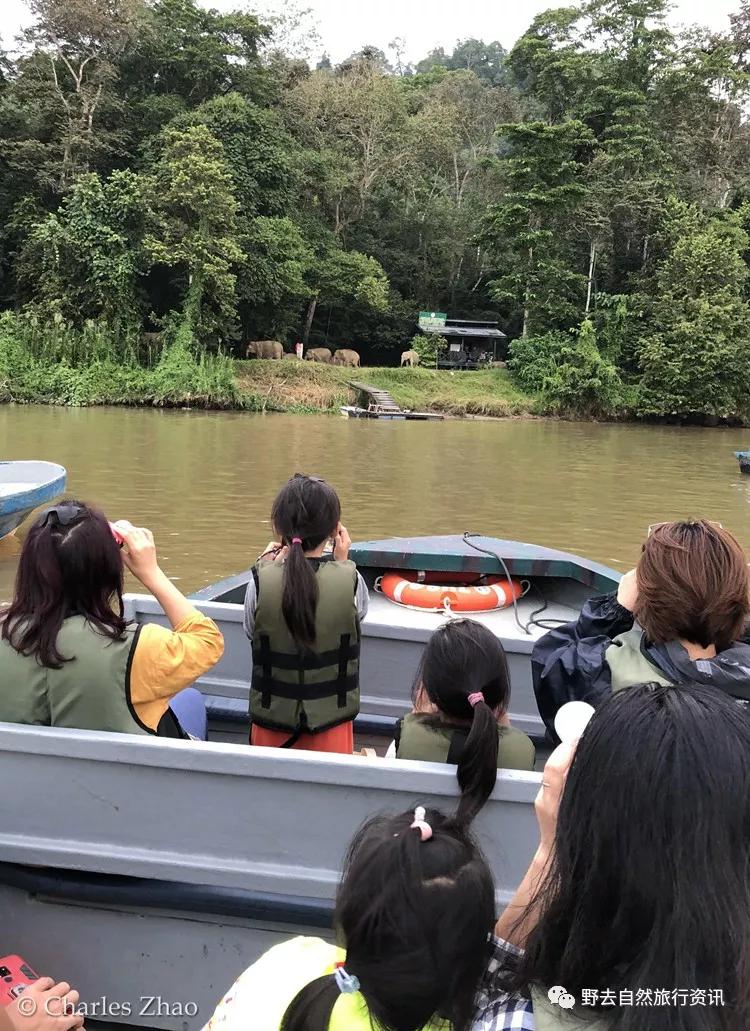 希望疫情早点结束能陪孩子多走走,待疫情彻底过去