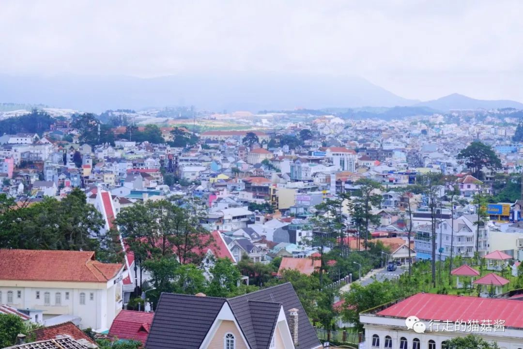 越南美奈跟大叻哪个更值得去,胡志明美奈大叻游