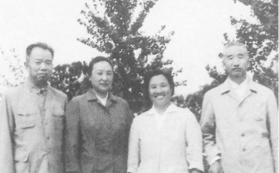 1972年,王树声将军之子在婚前三天出车祸,王树声如何处理司机?