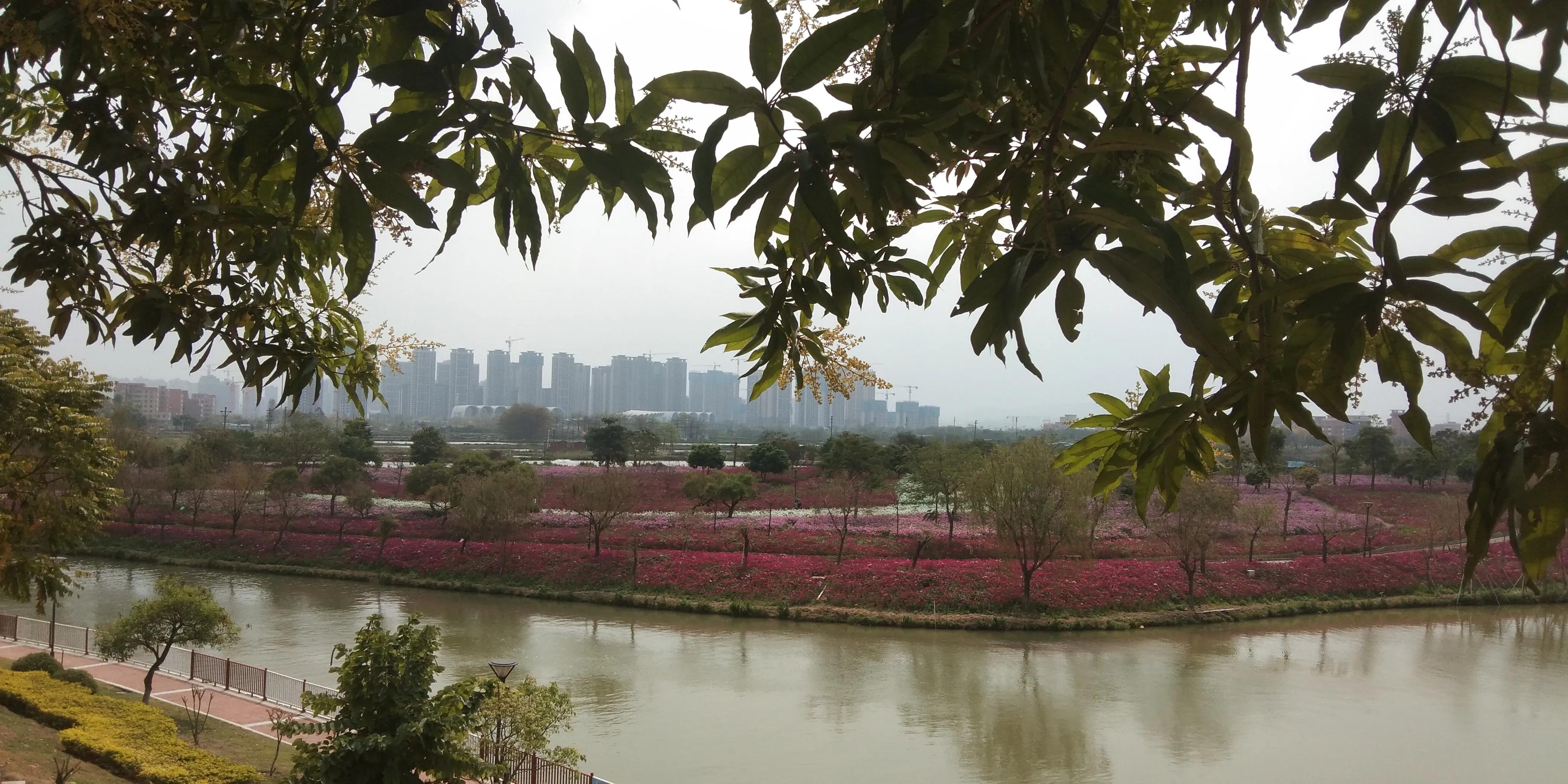 佛山高明怎样,佛山高明区很差吗