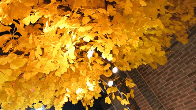 轰动火锅界的鲜货模式，老板放话：不新鲜就退货