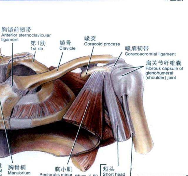 中医名词及部位,古代中医术语名语释义
